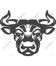 Vintage head of a bull