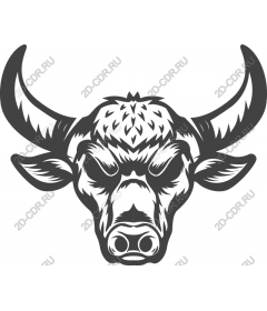  Strong bull's head