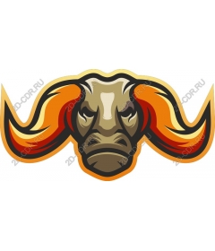  Ferocious head of a Buffalo