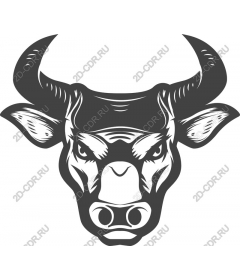  Brave bull's head