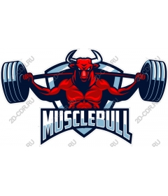  Muscular bull