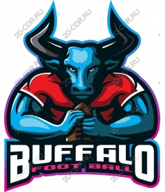  Brutal football in Buffalo