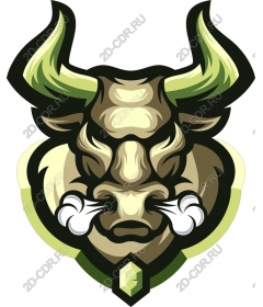 Head of a ferocious bull
