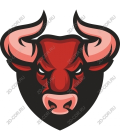 Head of a ferocious bull