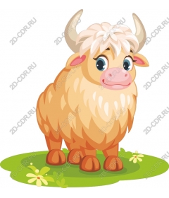  Adorable cow of the breed highland