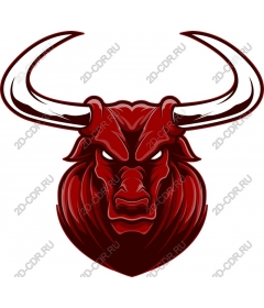 Head of a ferocious bull