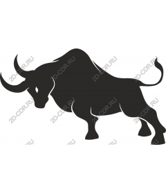 Powerful Bull