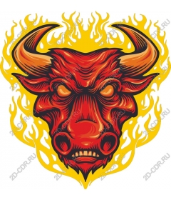 Head of a ferocious bull