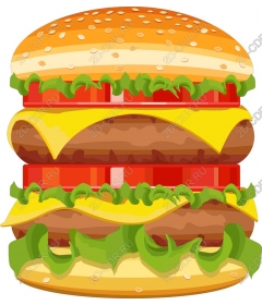 Sandwich Burger