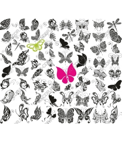  Elegant Butterfly Collection Set