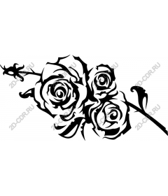  Elegant black rose