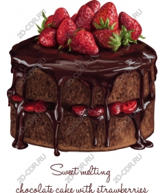  Sweet melting chocolate cake with strawberries