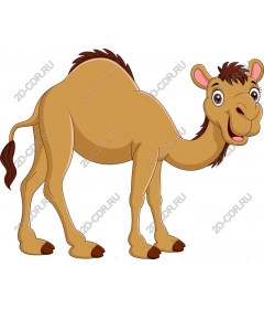  Cartoon camel