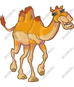 Fun cartoon camel