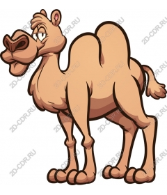 Cartoon camel