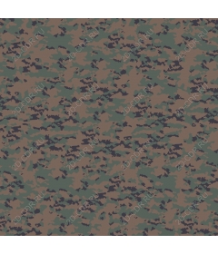  Camouflage coloring (/)