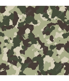  Camouflage