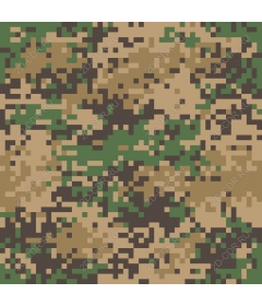  Digital camo