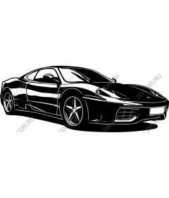 Dynamic sports car