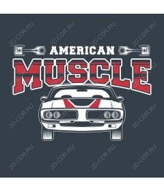  American vintage muscle car