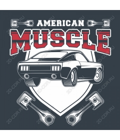  American muscle car
