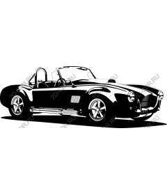  Classic sports car