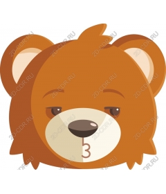  Adorable bear head