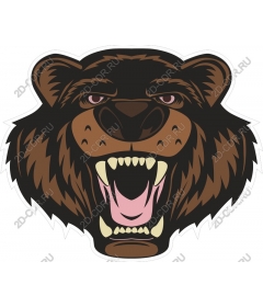 The "Head of a ferocious bear"