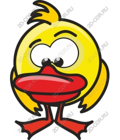 Funny cartoon duck