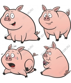 Playful set of cartoon pigs