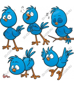 Fun set of "Blue bird"