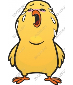  Crying chick