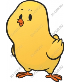  Cute yellow chick