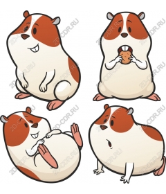  Cute set of clipart Guinea pig