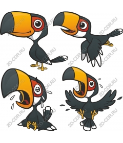 Tropical Toucan set