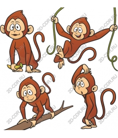  Set "Playful monkey"