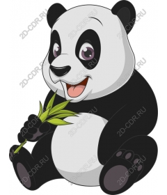  Adorable Panda
