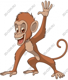 Funny cartoon monkey