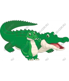  Charming Duo of alligators