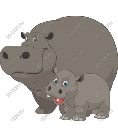  Cute family of hippos