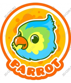  Colorful parrot