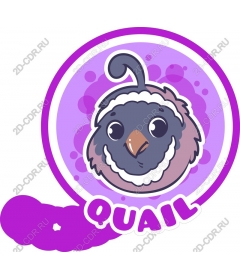  Charming quail
