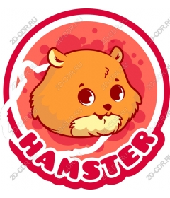  Charming cute hamster