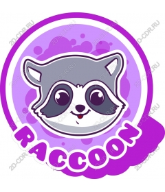  Cute raccoon