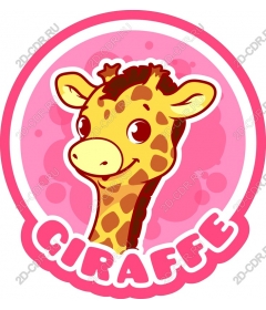  Adorable giraffe