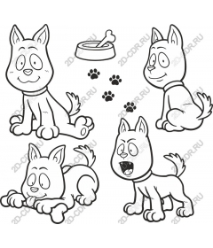  Collection of dogs