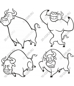  A collection of playful bulls