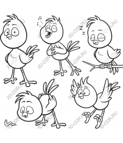  A whimsical set of cartoon birds