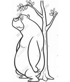  Adorable Bear