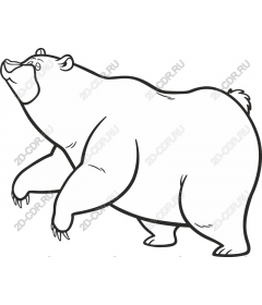  Bear - wildlife